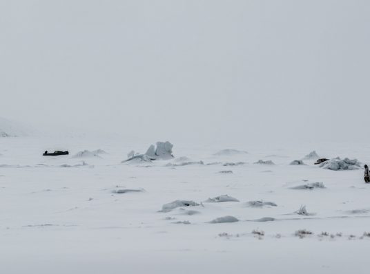 Sea-Ice Greenland, «Imaqa aqagu»