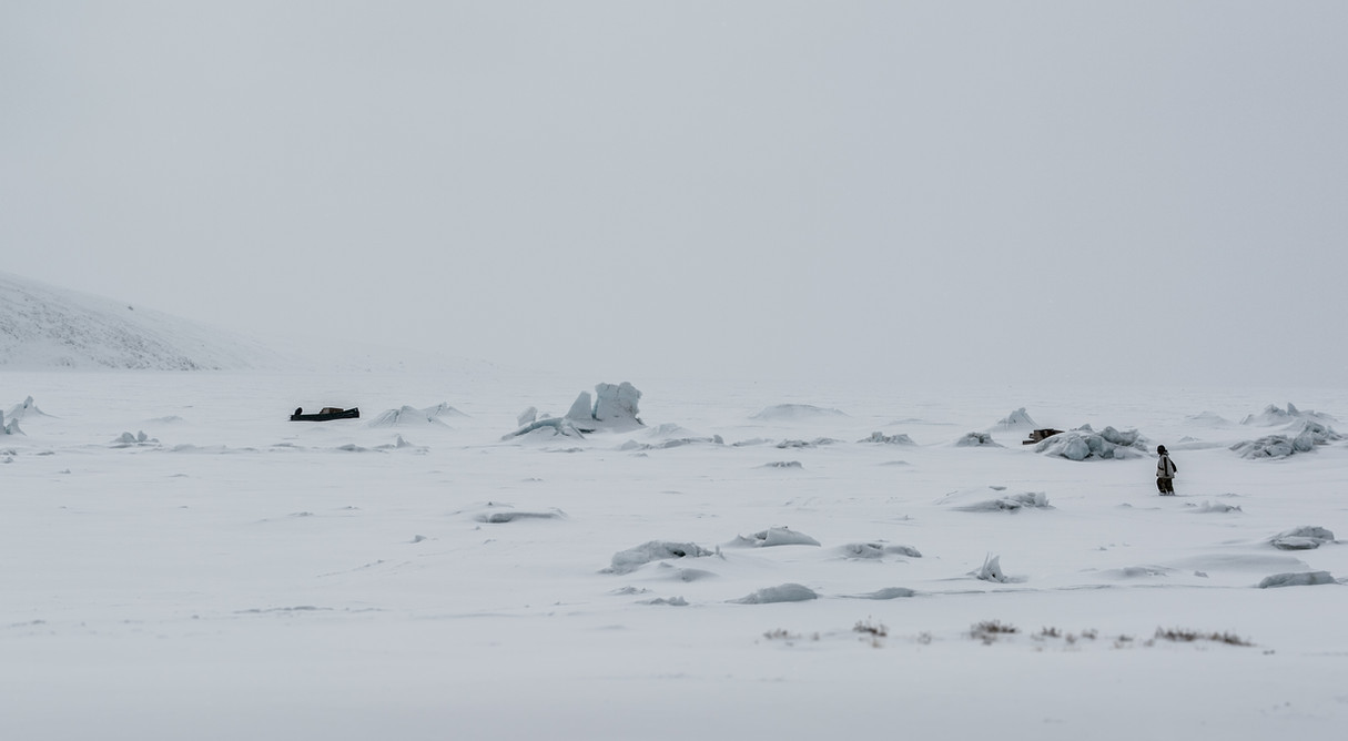 projet de biome arctique